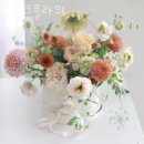 파르크플라워