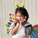 나비유치원 이미지
