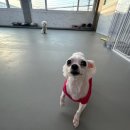 세실약국 이미지