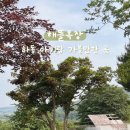 웃음꽃목장 이미지