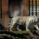 기억-그리움 이미지