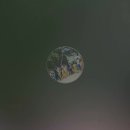 다산초교 이미지