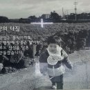 서울진양평해장국 | 주말 아침을 깨우는 맛! '양평해장국 서수원점' 솔직 후기