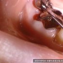 즐거운치과의원 이미지