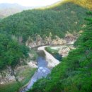 왕피천관광농원 이미지