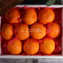 웅이네농장 이미지