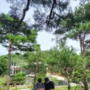 성래농장 네이버블로그