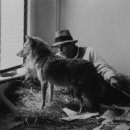 모네미술 이미지