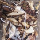 삼부자농장 이미지