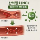 땃두릅엔오 효능 복용법 부작용 여부 내돈내산 구매 후기