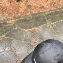 세븐일레븐 제주외도해피점 | 2025년 9월 제주 일상