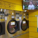 죽림세탁 이미지