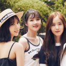 헤이버디 이미지