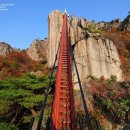 2022-주183 이미지