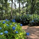 영광 매간당 고택 이미지