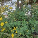 제부도오리골협동조합 | 전통 장류(된장, 간장, 고추장)을 전문적으로 생산 판매하는 화성시 제부도오리골협동조합을 방문하다