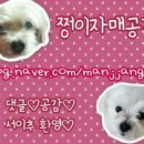 엠코분식