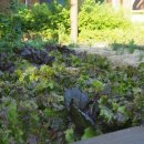 꽃동네어린이공원 이미지