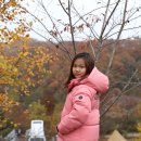 김밥365(강촌점) | 11월 캠핑장 서울근교에 1시간 거리인 산으로~