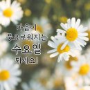 3월 2일 고발뉴스 이미지