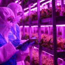 넥스트온 이미지