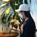 디자인모에 이미지