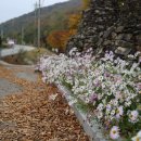 천탑마을 이미지