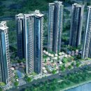 디엠보고 이미지