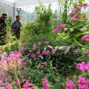 스마트타운 이미지