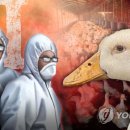 승복농장 이미지