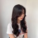 젤리헤어살롱