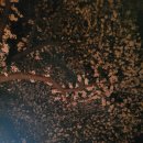 벽계야영장 매점 이미지