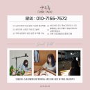 대전테크노파크 | [대전 샌드아트] 대전 테크노파크 기업 청렴 교육 샌드아트 공연
