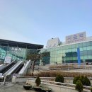 라라스테이션 | 나홀로 뚜벅이 강릉여행 후기 1부 (안목해변, 블랙피쉬, 순두부젤라또, 소품샵)