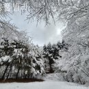 영웅풀빌라 이미지