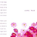 코스모스를 노래함 ♪ - 소프라노 박노경 노래 이미지