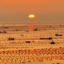 모자목장 이미지