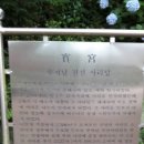 부산(태종대혹서기마라톤)