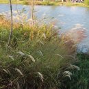 간식꺼리 이미지