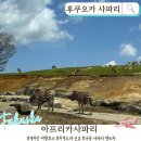 아시아렌트카 | 후쿠오카 사파리 | 유후인 근교 규슈 아프리카 사파리 렌트카 가족여행 후기 꿀팁