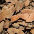 나무뿌리한의원 이미지