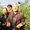 대저농협유통센터(APC) 이미지