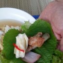 다솔농장 이미지