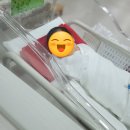 인천 부평 새봄산후조리원 로얄룸 솔직후기