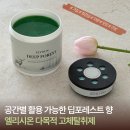 엘리시온 | 공간별 활용 가능한 엘리시온 고체탈취제 딥포레스트 향 추천
