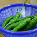 미풍해장국 이미지