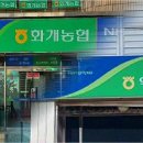 화개악양농협 이미지