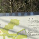 구름이네카페