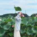 금호1농장 이미지