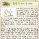브니엘의 아침
